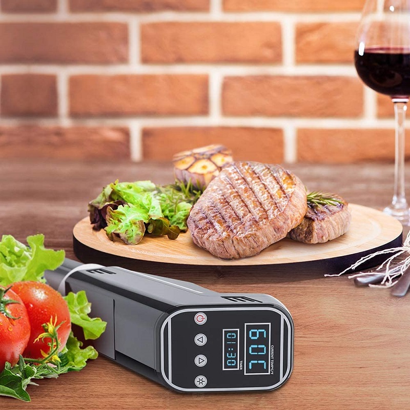 Máquina de cocción al vacío So - Digital Sous Vide Precision Cooker reseña y precio