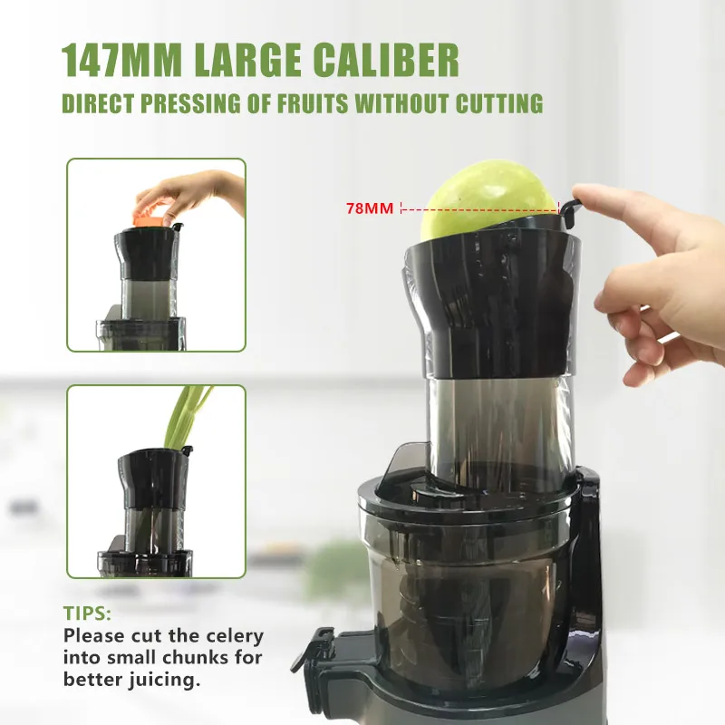 Exprimidor de Naranjas y Cítri - Electric Slow Juicer Cold Press reseña y precio