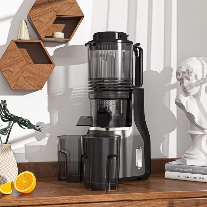 500Ml conducto de alimentación - Electric Slow Juicer Cold Press reseña y precio