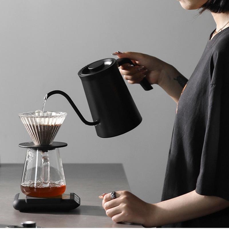 Hervidor de café eléctrico MHW - Electric Kettle Temperature Control reseña y precio