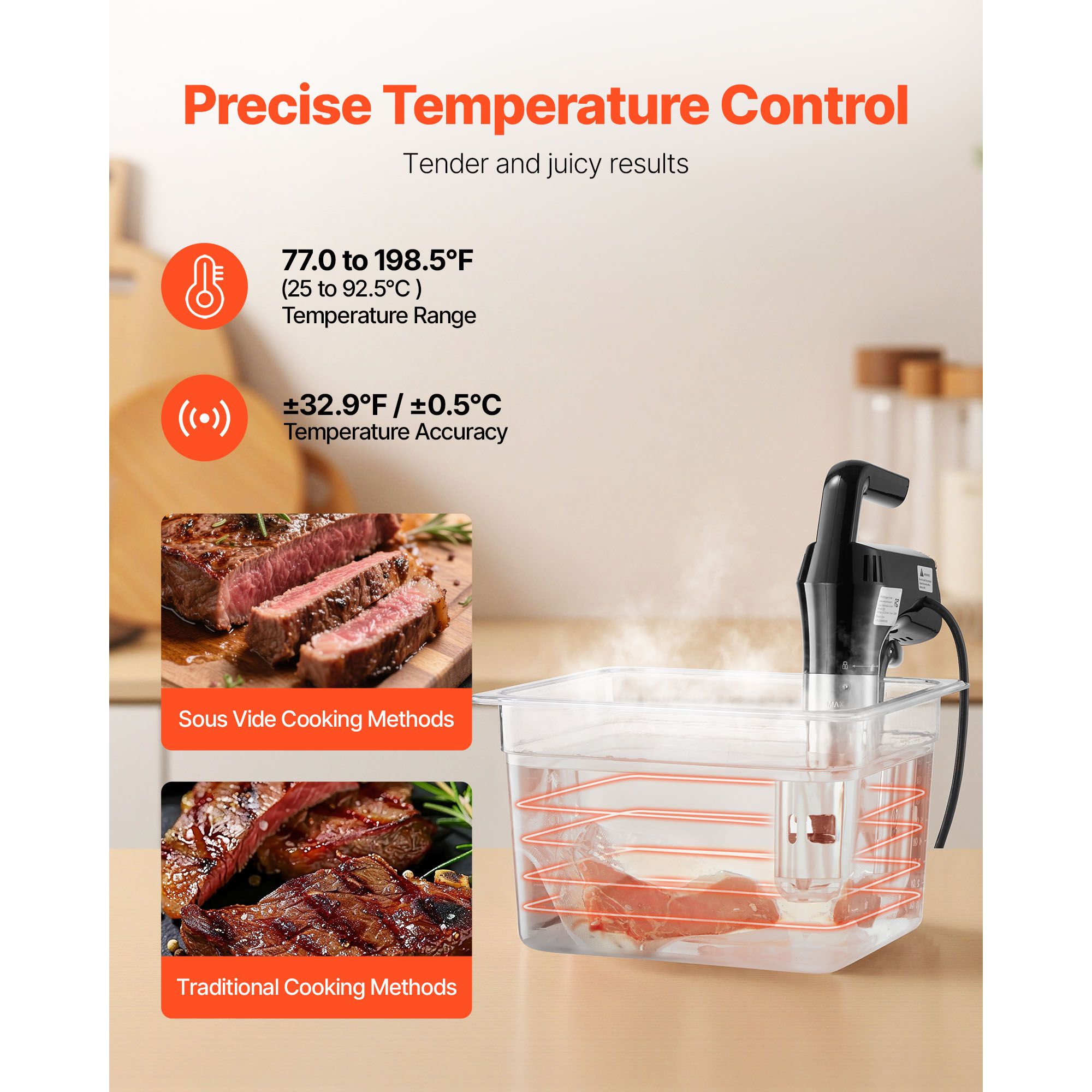Cocedor Sous Vide de Precisión - Digital Sous Vide Precision Cooker reseña y precio