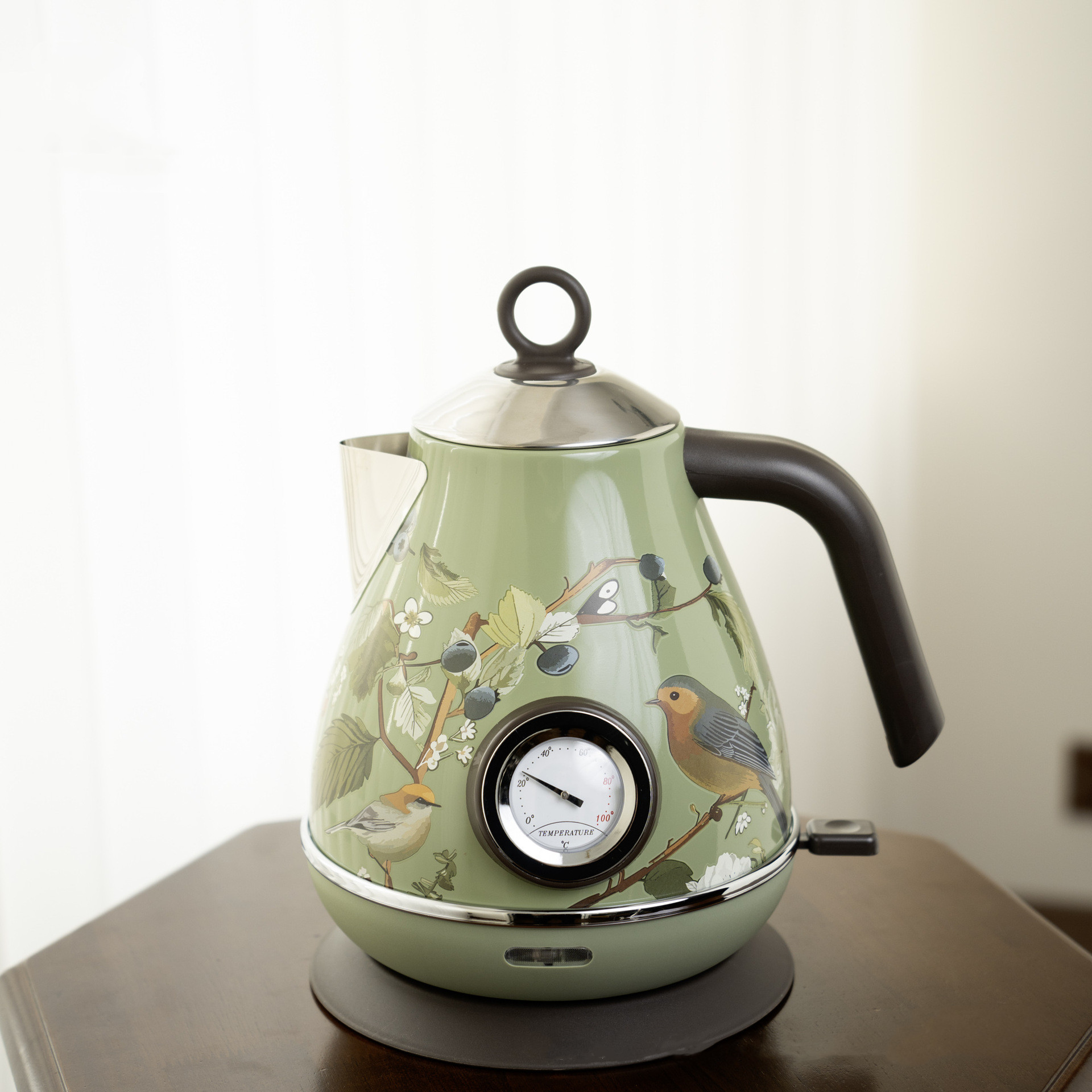 Hervidor Eléctrico Retro Rosa  - Electric Kettle Temperature Control reseña y precio